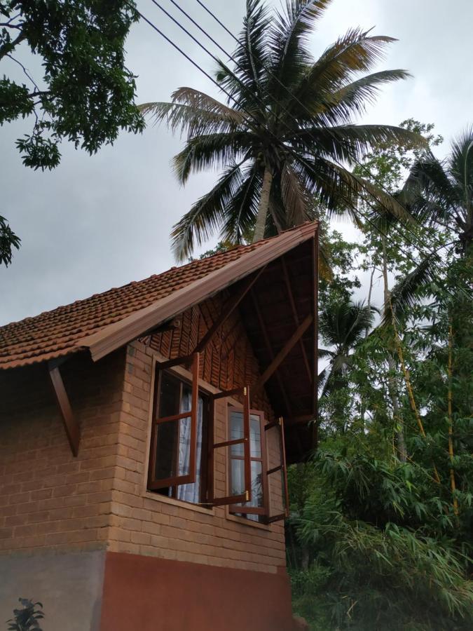 Cinnamon Village Sinharaja Deniyaya Exteriér fotografie