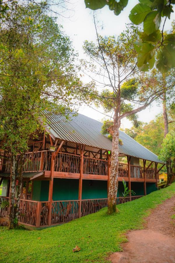 Cinnamon Village Sinharaja Deniyaya Exteriér fotografie