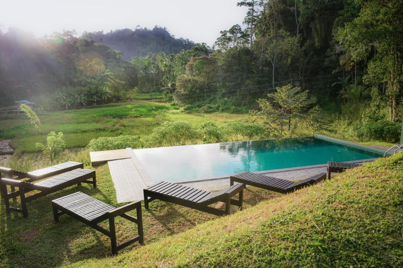 Cinnamon Village Sinharaja Deniyaya Exteriér fotografie