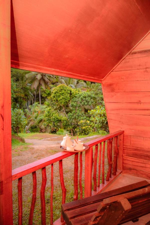 Cinnamon Village Sinharaja Deniyaya Exteriér fotografie