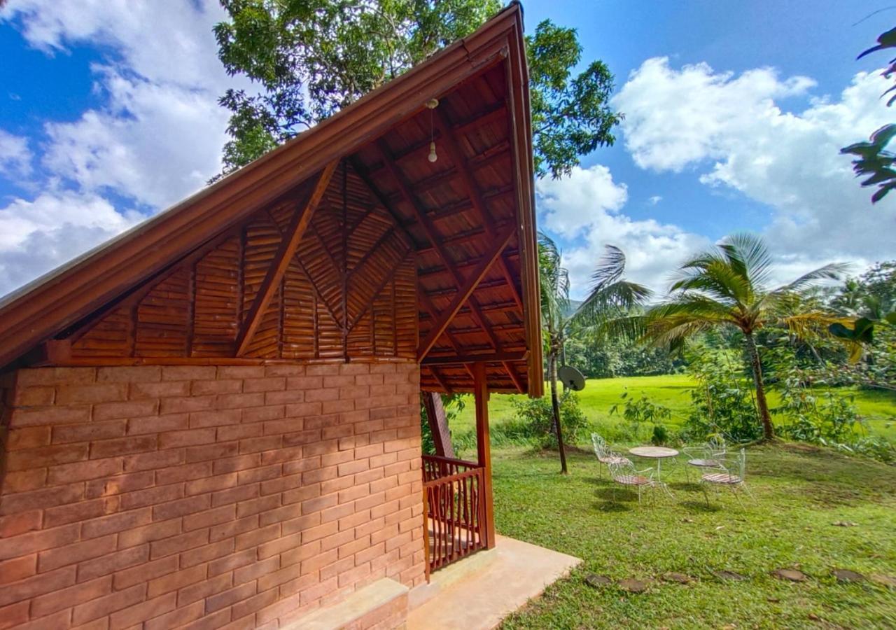 Cinnamon Village Sinharaja Deniyaya Exteriér fotografie