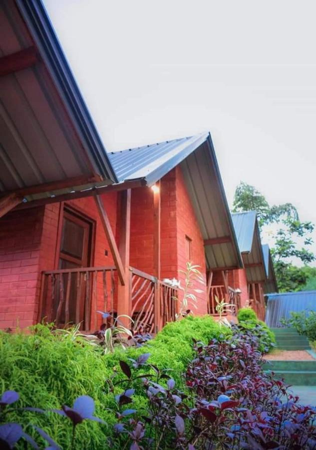 Cinnamon Village Sinharaja Deniyaya Exteriér fotografie