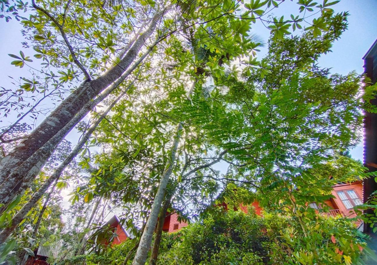Cinnamon Village Sinharaja Deniyaya Exteriér fotografie